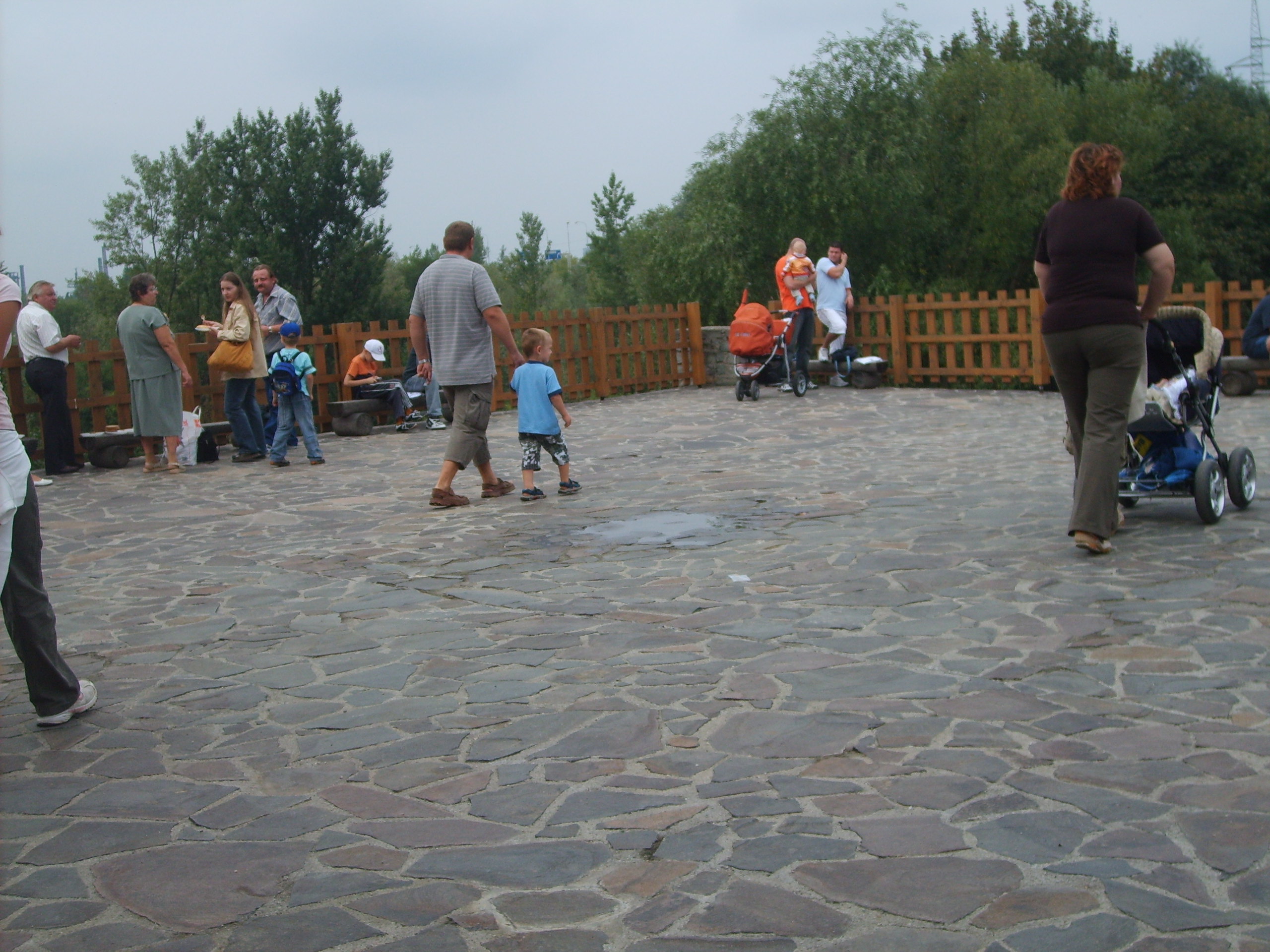 S5002105.JPG